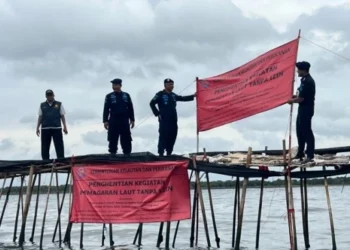 Guru besar UGM: permasalahan PSN PIK-2 itu di aspek transparansi dan tata kelola