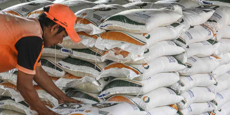 Pengamat pangan: pemerintah gagal sediakan pangan yang terjangkau dan berkualitas