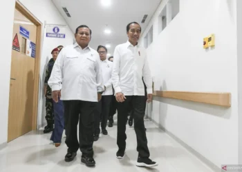 Peralihan kekuasaan dari Jokowi ke Prabowo adalah keberlangsungan otoritarianisme?