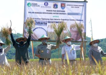 Program MBG gubernur Anies jadi solusi ketahanan pangan di Jakarta