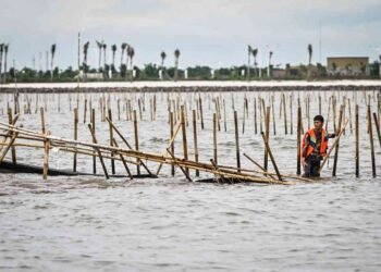 Proyek PIK-2: mengapa TNI AL, bukan Polairud yang bertindak bongkar pagar laut?