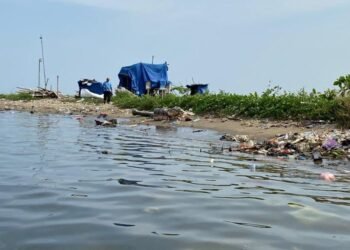 Rekam jejak Anies sangat Jelas: PSN jangan jadi titipan