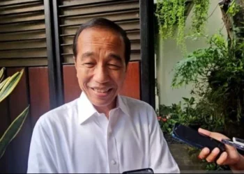 IKN diblokir: Jokowi tak paham beda kebutuhan dan keinginan bernegara