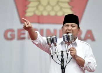 Komunikasi publik pemerintahan Prabowo memang problematik