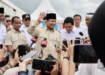 Danantara hadapi sejumlah tantangan, apa saja?