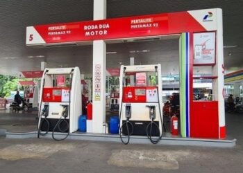 Prof Didin: ada harapan, tapi Danantara masih timbulkan keraguan