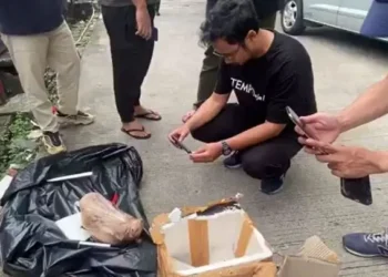 UMY: kami mengutuk keras teror kepala babi ke Tempo