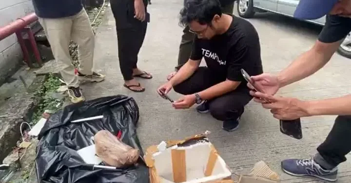 UMY: kami mengutuk keras teror kepala babi ke Tempo