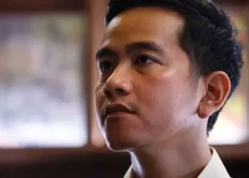 Kangkangi Konstitusi dinilai jadi alasan kuat untuk pemakzulan Gibran