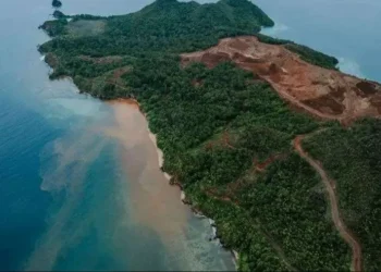 Lima perusahaan tambang nikel di Raja Ampat langgar UU perusakan hutan