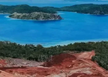 Tambang Nikel Raja Ampat ancam kelestarian 75 persen spesies karang dunia