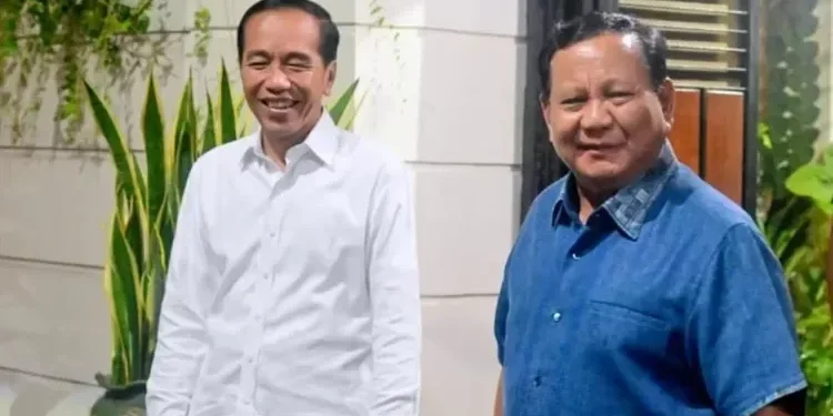 Amnest, abolisi: Prabowo ‘cuci piring’ warisan politik Jokowi