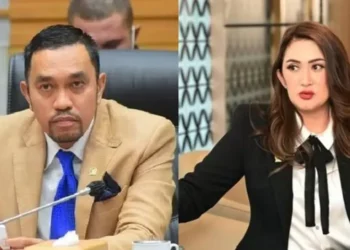 Menonaktifkan anggota DPR itu bukan memecat!