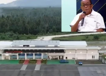 Said Didu : proyek bandara IMIP Morowali hanya untungkan industri besar